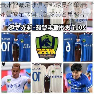 贵州智诚足球俱乐部球员名单,贵州智诚足球俱乐部球员名单照片
