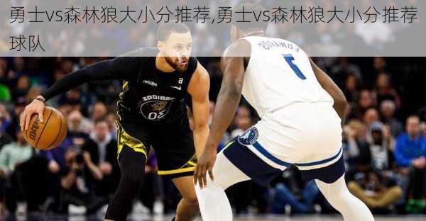 勇士vs森林狼大小分推荐,勇士vs森林狼大小分推荐球队