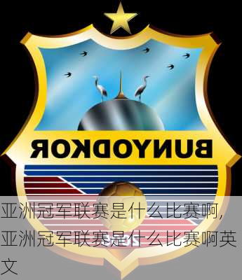 亚洲冠军联赛是什么比赛啊,亚洲冠军联赛是什么比赛啊英文