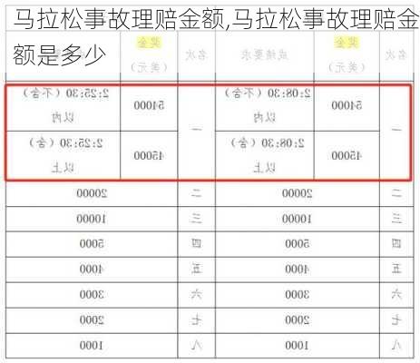 马拉松事故理赔金额,马拉松事故理赔金额是多少