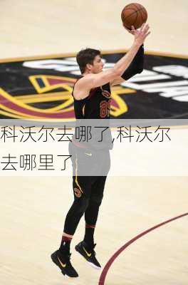 科沃尔去哪了,科沃尔去哪里了