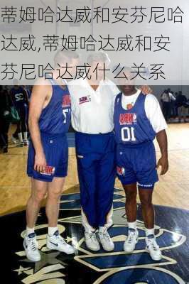 蒂姆哈达威和安芬尼哈达威,蒂姆哈达威和安芬尼哈达威什么关系