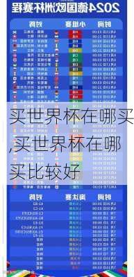买世界杯在哪买,买世界杯在哪买比较好