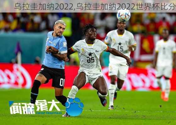 乌拉圭加纳2022,乌拉圭加纳2022世界杯比分