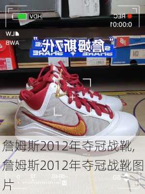 詹姆斯2012年夺冠战靴,詹姆斯2012年夺冠战靴图片