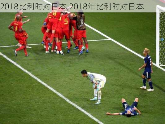2018比利时对日本,2018年比利时对日本