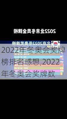 2022年冬奥会奖牌榜排名感想,2022年冬奥会奖牌数