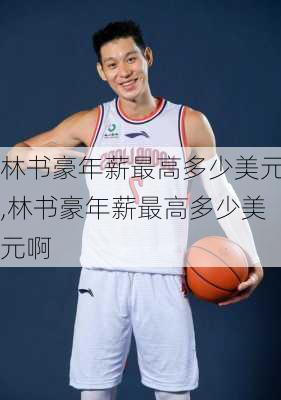 林书豪年薪最高多少美元,林书豪年薪最高多少美元啊