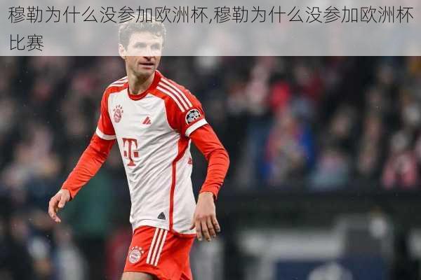 穆勒为什么没参加欧洲杯,穆勒为什么没参加欧洲杯比赛