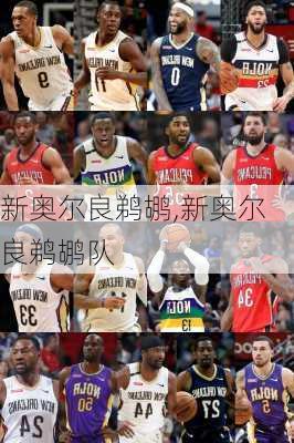新奥尔良鹈鹕,新奥尔良鹈鹕队