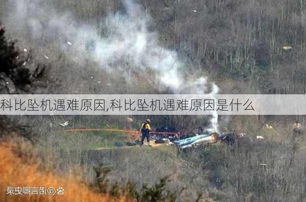 科比坠机遇难原因,科比坠机遇难原因是什么