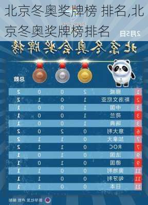 北京冬奥奖牌榜 排名,北京冬奥奖牌榜排名