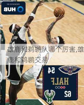 雄鹿和鹈鹕队哪个厉害,雄鹿和鹈鹕交易