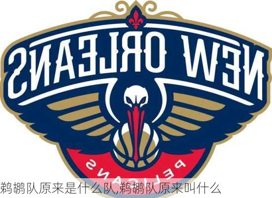 鹈鹕队原来是什么队,鹈鹕队原来叫什么