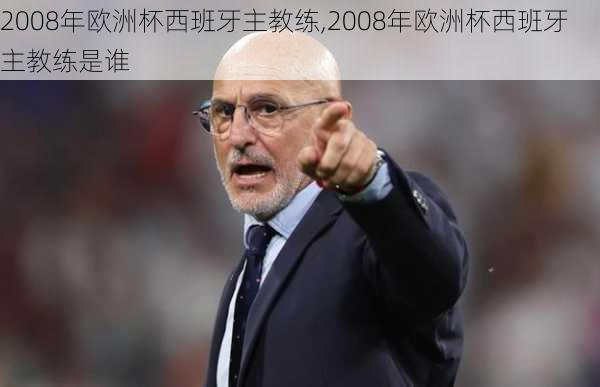 2008年欧洲杯西班牙主教练,2008年欧洲杯西班牙主教练是谁