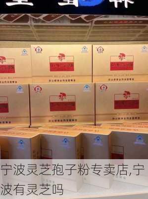 宁波灵芝孢子粉专卖店,宁波有灵芝吗