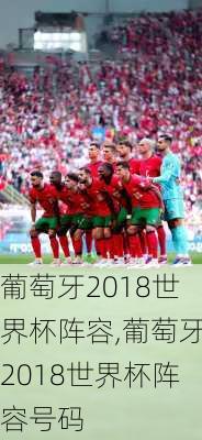 葡萄牙2018世界杯阵容,葡萄牙2018世界杯阵容号码