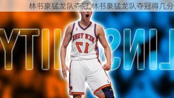 林书豪猛龙队夺冠,林书豪猛龙队夺冠得几分
