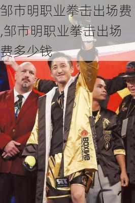 邹市明职业拳击出场费,邹市明职业拳击出场费多少钱
