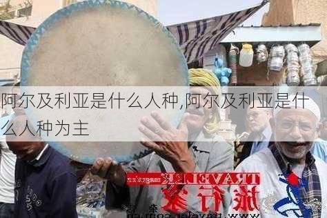 阿尔及利亚是什么人种,阿尔及利亚是什么人种为主