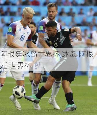 阿根廷冰岛世界杯,冰岛 阿根廷 世界杯