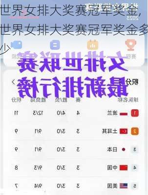 世界女排大奖赛冠军奖金,世界女排大奖赛冠军奖金多少