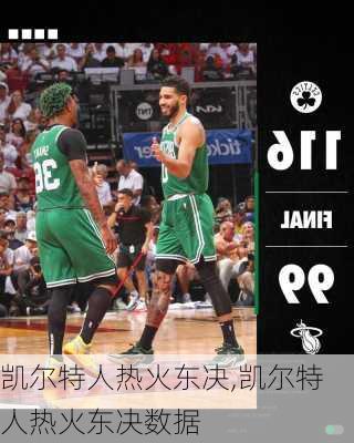 凯尔特人热火东决,凯尔特人热火东决数据