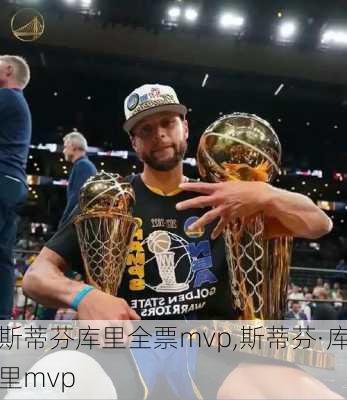 斯蒂芬库里全票mvp,斯蒂芬·库里mvp