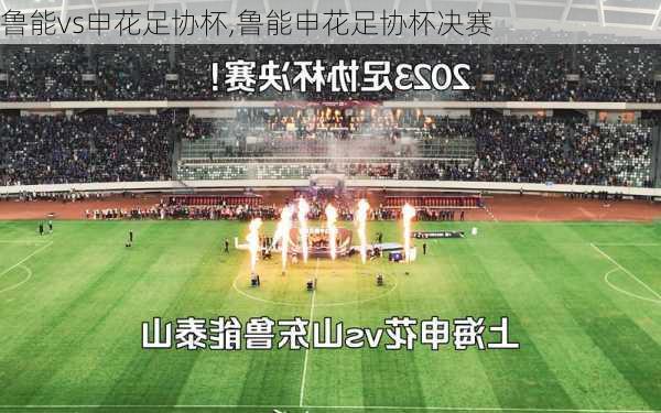 鲁能vs申花足协杯,鲁能申花足协杯决赛