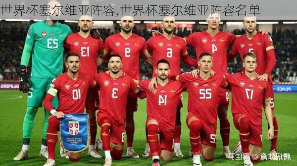 世界杯塞尔维亚阵容,世界杯塞尔维亚阵容名单