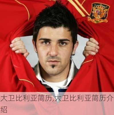 大卫比利亚简历,大卫比利亚简历介绍