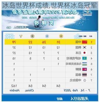 冰岛世界杯成绩,世界杯冰岛冠军