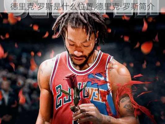 德里克·罗斯是什么位置,德里克·罗斯简介