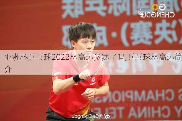 亚洲杯乒乓球2022林高远参赛了吗,乒乓球林高远简介