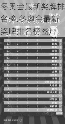 冬奥会最新奖牌排名榜,冬奥会最新奖牌排名榜图片