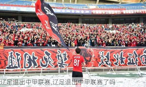 辽足退出中甲联赛,辽足退出中甲联赛了吗