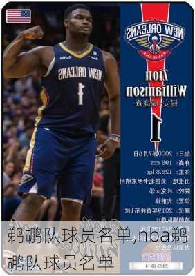 鹈鹕队球员名单,nba鹈鹕队球员名单