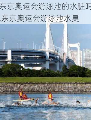东京奥运会游泳池的水脏吗,东京奥运会游泳池水臭