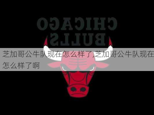 芝加哥公牛队现在怎么样了,芝加哥公牛队现在怎么样了啊