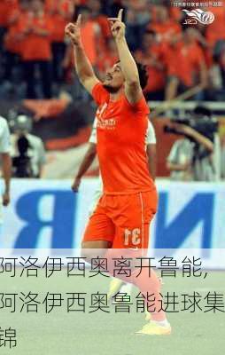 阿洛伊西奥离开鲁能,阿洛伊西奥鲁能进球集锦