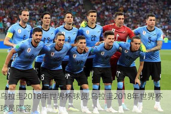 乌拉圭2018年世界杯球员,乌拉圭2018年世界杯球员阵容
