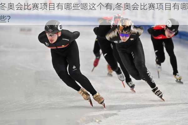 冬奥会比赛项目有哪些嗯这个有,冬奥会比赛项目有哪些?