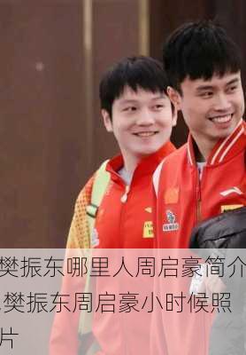 樊振东哪里人周启豪简介,樊振东周启豪小时候照片