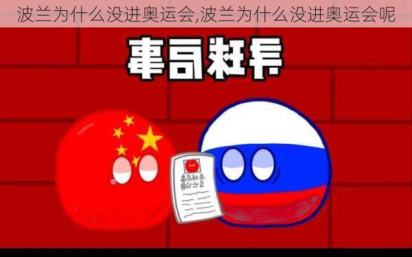 波兰为什么没进奥运会,波兰为什么没进奥运会呢