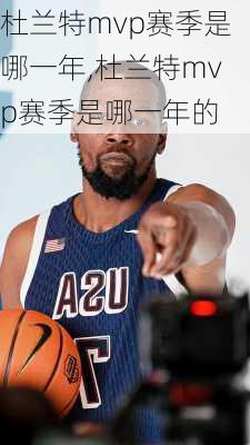 杜兰特mvp赛季是哪一年,杜兰特mvp赛季是哪一年的