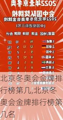 北京冬奥会金牌排行榜第几,北京冬奥会金牌排行榜第几名