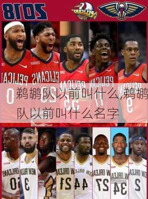 鹈鹕队以前叫什么,鹈鹕队以前叫什么名字