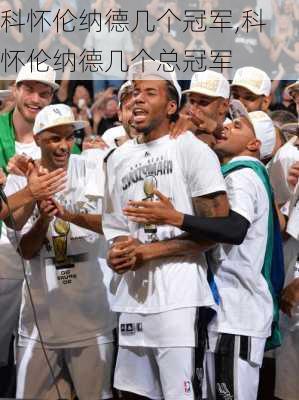 科怀伦纳德几个冠军,科怀伦纳德几个总冠军