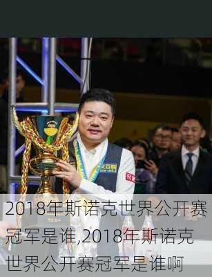 2018年斯诺克世界公开赛冠军是谁,2018年斯诺克世界公开赛冠军是谁啊