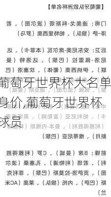 葡萄牙世界杯大名单身价,葡萄牙世界杯球员
